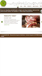 Mobile Screenshot of macchiinc.com